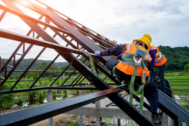 Best Roof Gutter Cleaning  in Potterville, MI