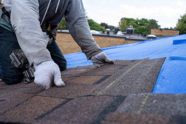 Best Roof Waterproofing Services  in Potterville, MI