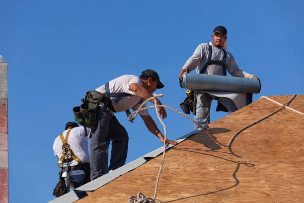 Best Residential Roofing Contractor  in Potterville, MI