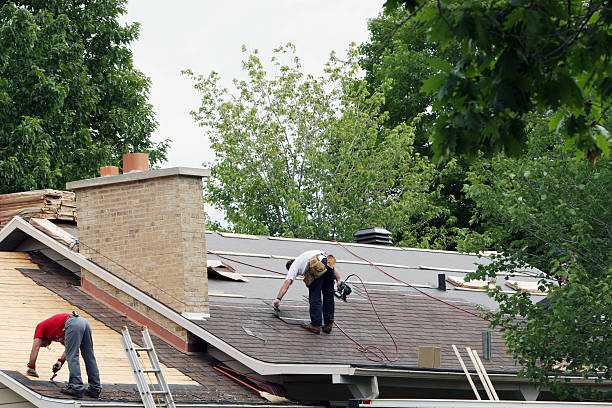 Best Roof Repair Specialists  in Potterville, MI