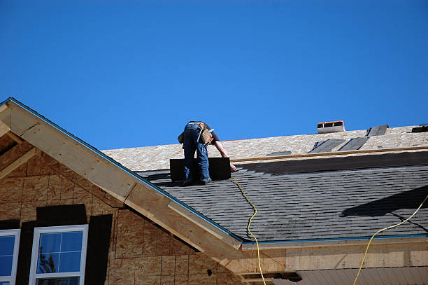Roof Gutter Cleaning in Potterville, MI