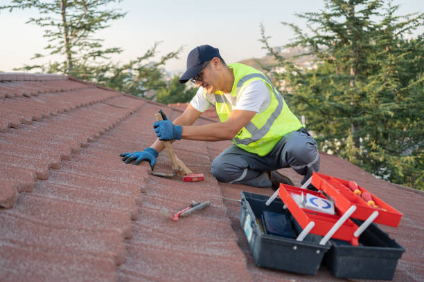 Best Roof Gutter Cleaning  in Potterville, MI