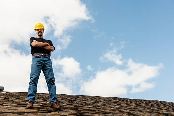Best Metal Roofing Contractor  in Potterville, MI