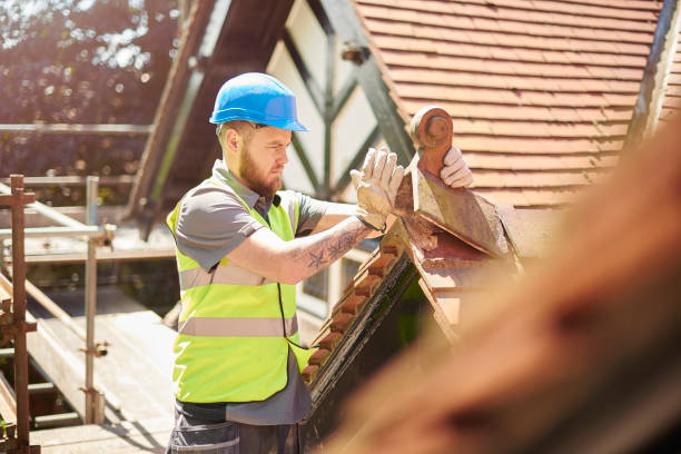 Best Sealant for Roof  in Potterville, MI