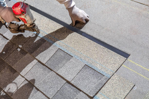 Best Metal Roofing Contractor  in Potterville, MI