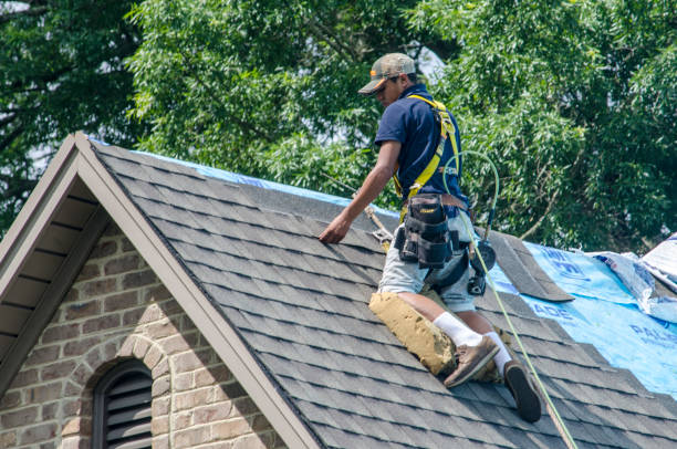 Best Roof Waterproofing Services  in Potterville, MI